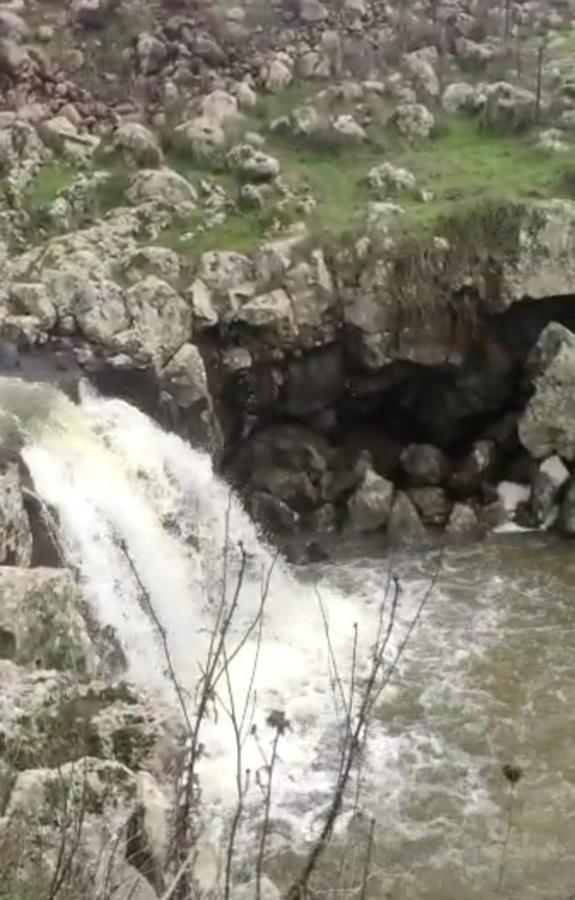 Luxury Caravan Truck In The Golan Heights Bruchim Qela' Alon Luaran gambar